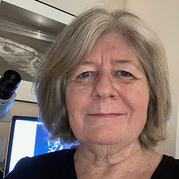 Sue M. Rimmer's headshot